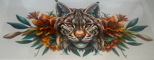Lynx