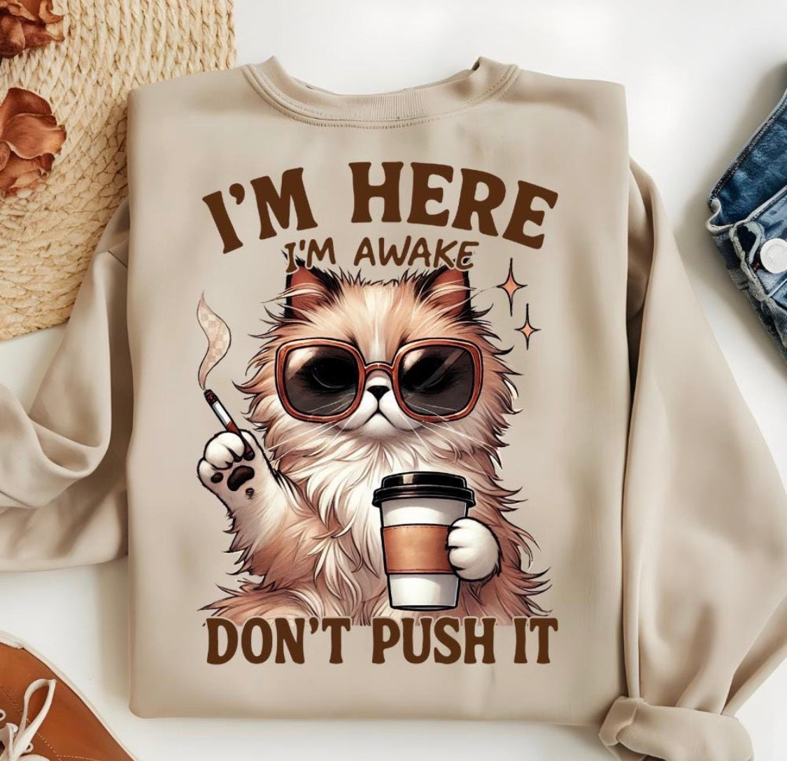 I’m here don’t push it