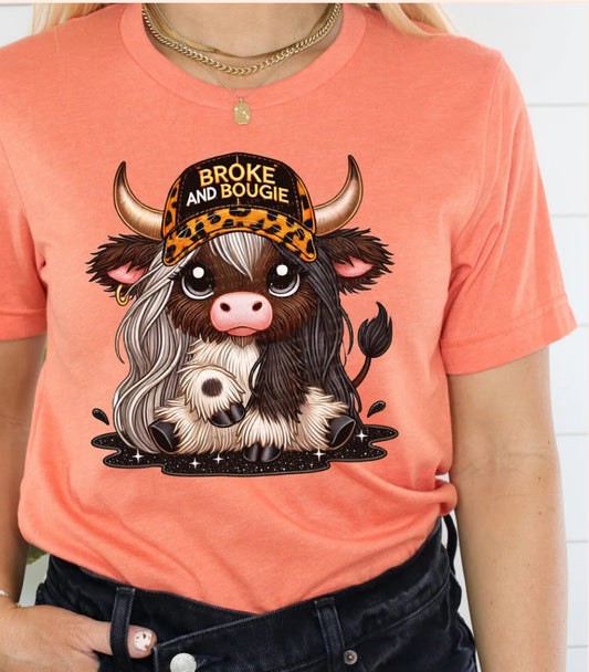 Broke and bougie cow