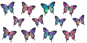 Butterflys