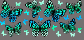 Blue green Butterfly